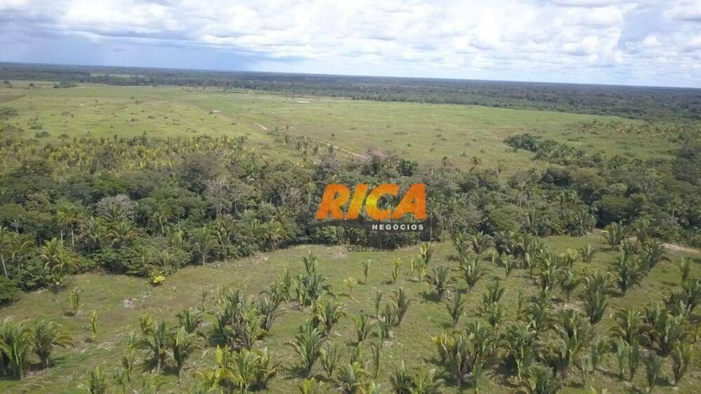 Fazenda, 2271 hectares - Foto 12