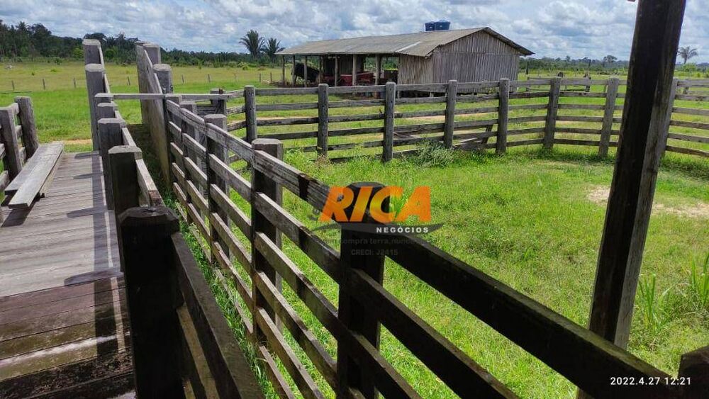 Fazenda, 2271 hectares - Foto 7