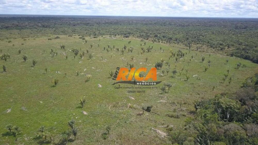 Fazenda, 2271 hectares - Foto 20