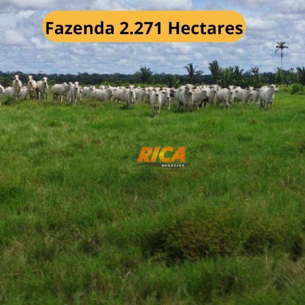 Fazenda, 2271 hectares - Foto 1