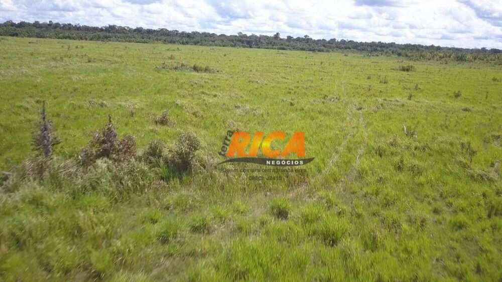 Fazenda, 2271 hectares - Foto 2