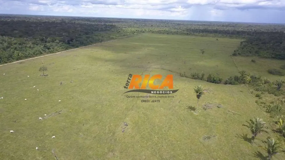 Fazenda, 2271 hectares - Foto 25