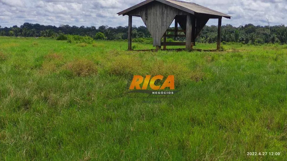Fazenda, 2271 hectares - Foto 44