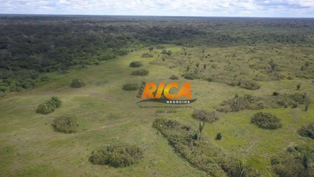 Fazenda, 2271 hectares - Foto 21