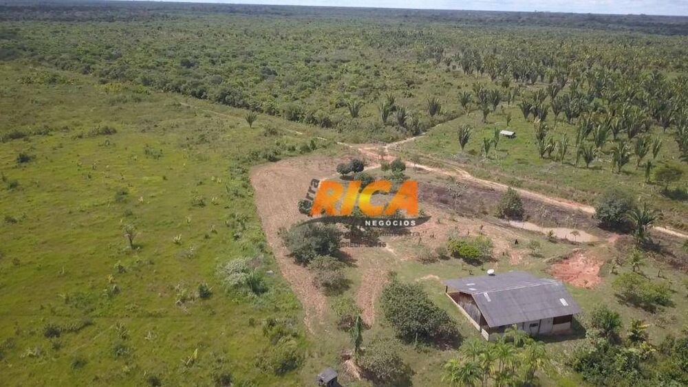 Fazenda, 2271 hectares - Foto 10