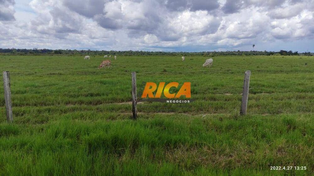 Fazenda, 2271 hectares - Foto 24