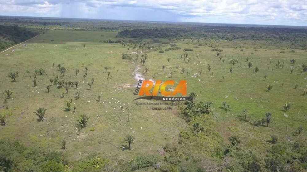 Fazenda, 2271 hectares - Foto 19