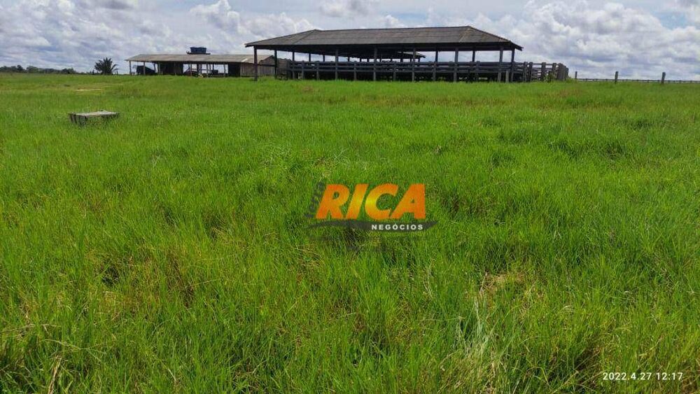 Fazenda, 2271 hectares - Foto 25