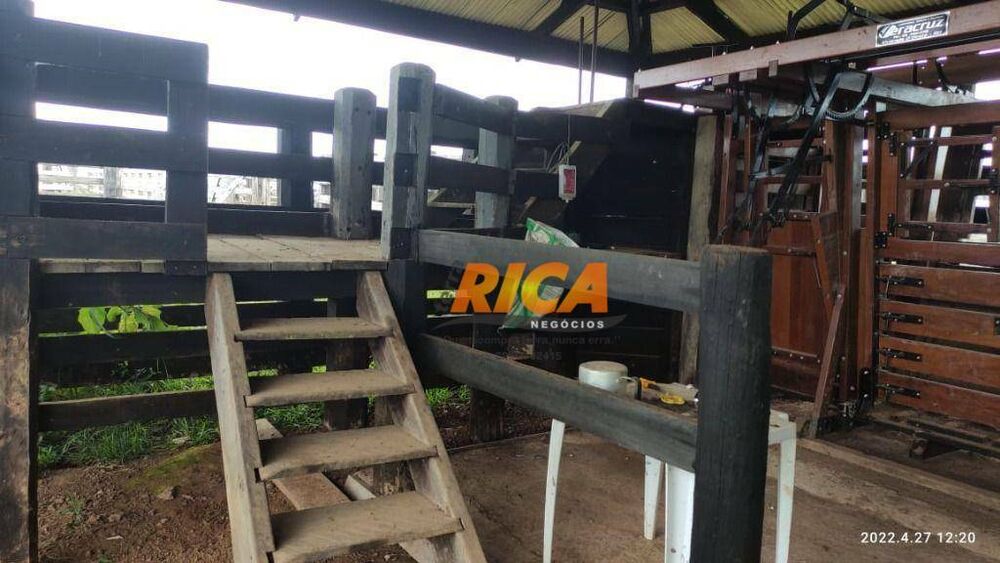 Fazenda, 2271 hectares - Foto 4