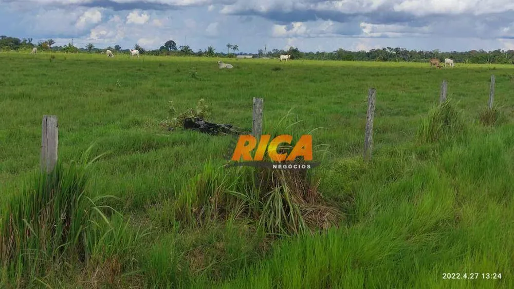 Fazenda, 2271 hectares - Foto 21
