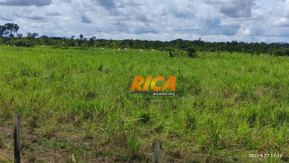 Fazenda, 2271 hectares - Foto 34