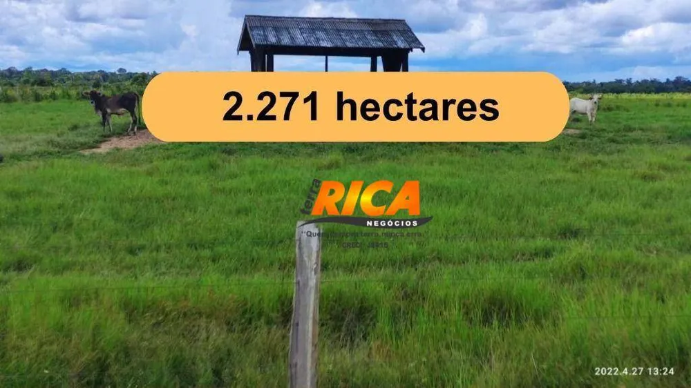 Fazenda, 2271 hectares - Foto 2