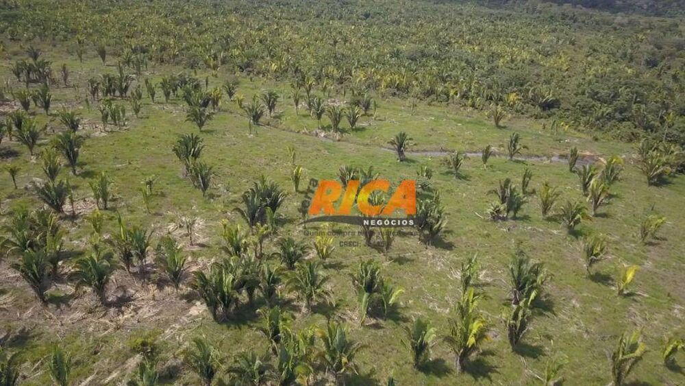 Fazenda, 2271 hectares - Foto 11
