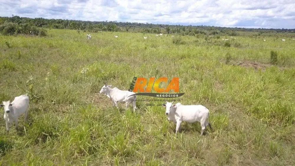 Fazenda, 2271 hectares - Foto 3