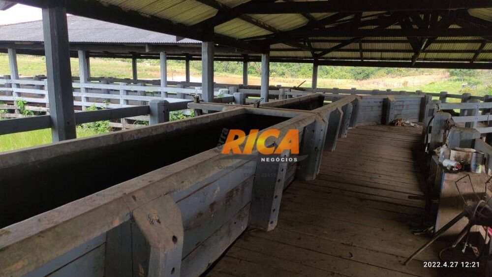 Fazenda, 2271 hectares - Foto 6