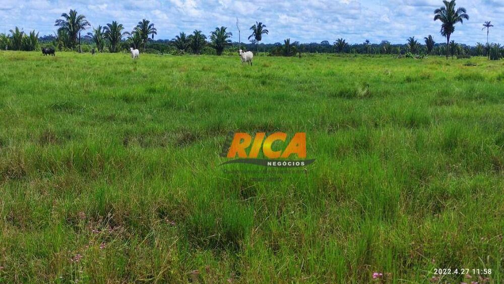 Fazenda, 2271 hectares - Foto 36