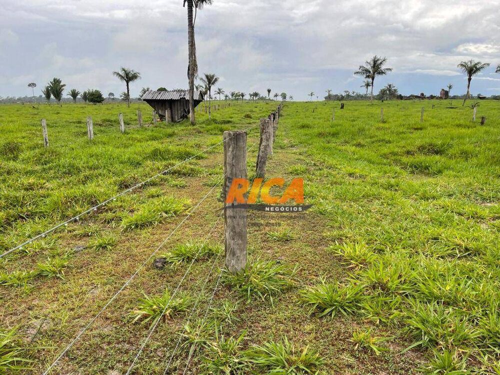 Sítio, 73 hectares - Foto 4