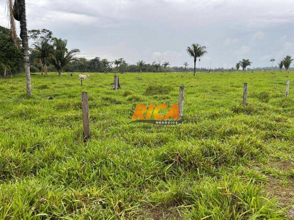 Sítio, 73 hectares - Foto 3