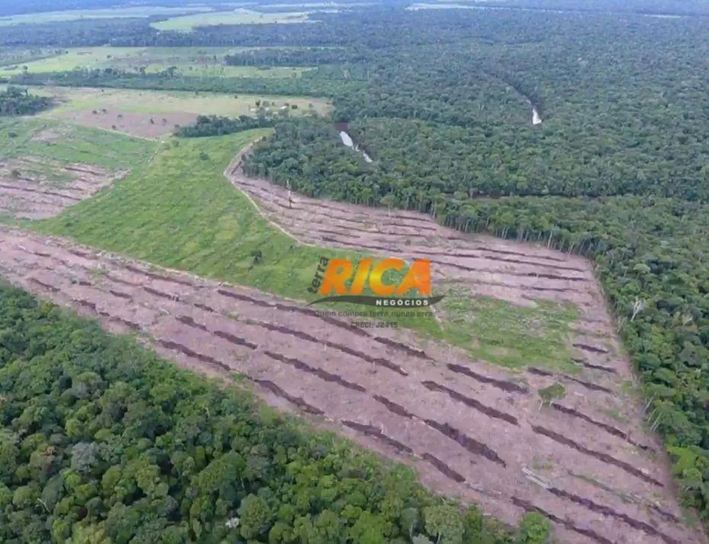 Fazenda, 184 hectares - Foto 6
