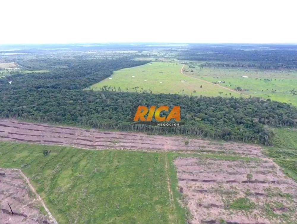 Fazenda, 184 hectares - Foto 5