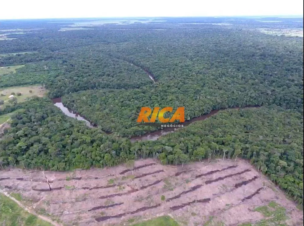 Fazenda, 184 hectares - Foto 3