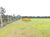 Fazenda, 184 hectares - Foto 2