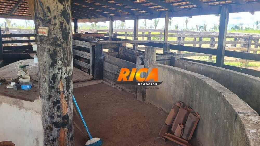 Fazenda, 240 hectares - Foto 12