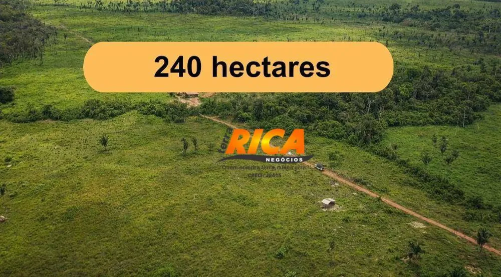 Fazenda, 240 hectares - Foto 2