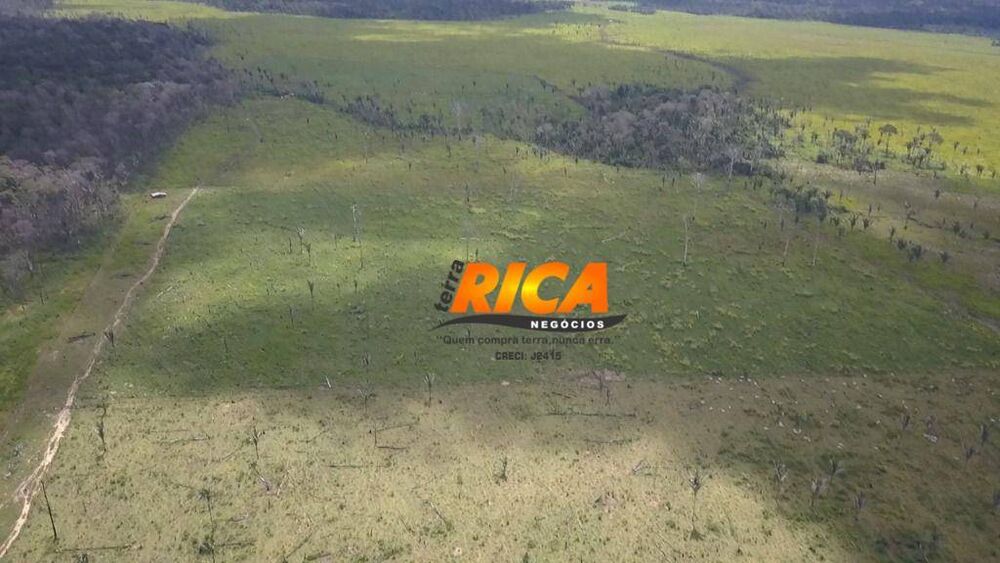 Fazenda, 240 hectares - Foto 3