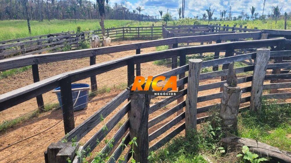 Fazenda, 240 hectares - Foto 11