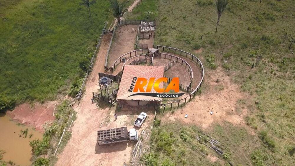 Fazenda, 240 hectares - Foto 10