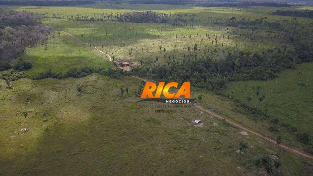 Fazenda, 240 hectares - Foto 7
