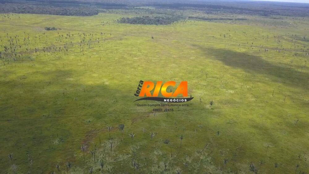 Fazenda, 240 hectares - Foto 5