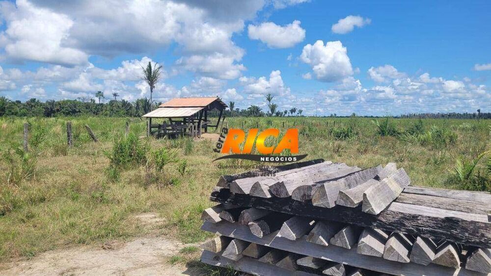 Fazenda, 240 hectares - Foto 15