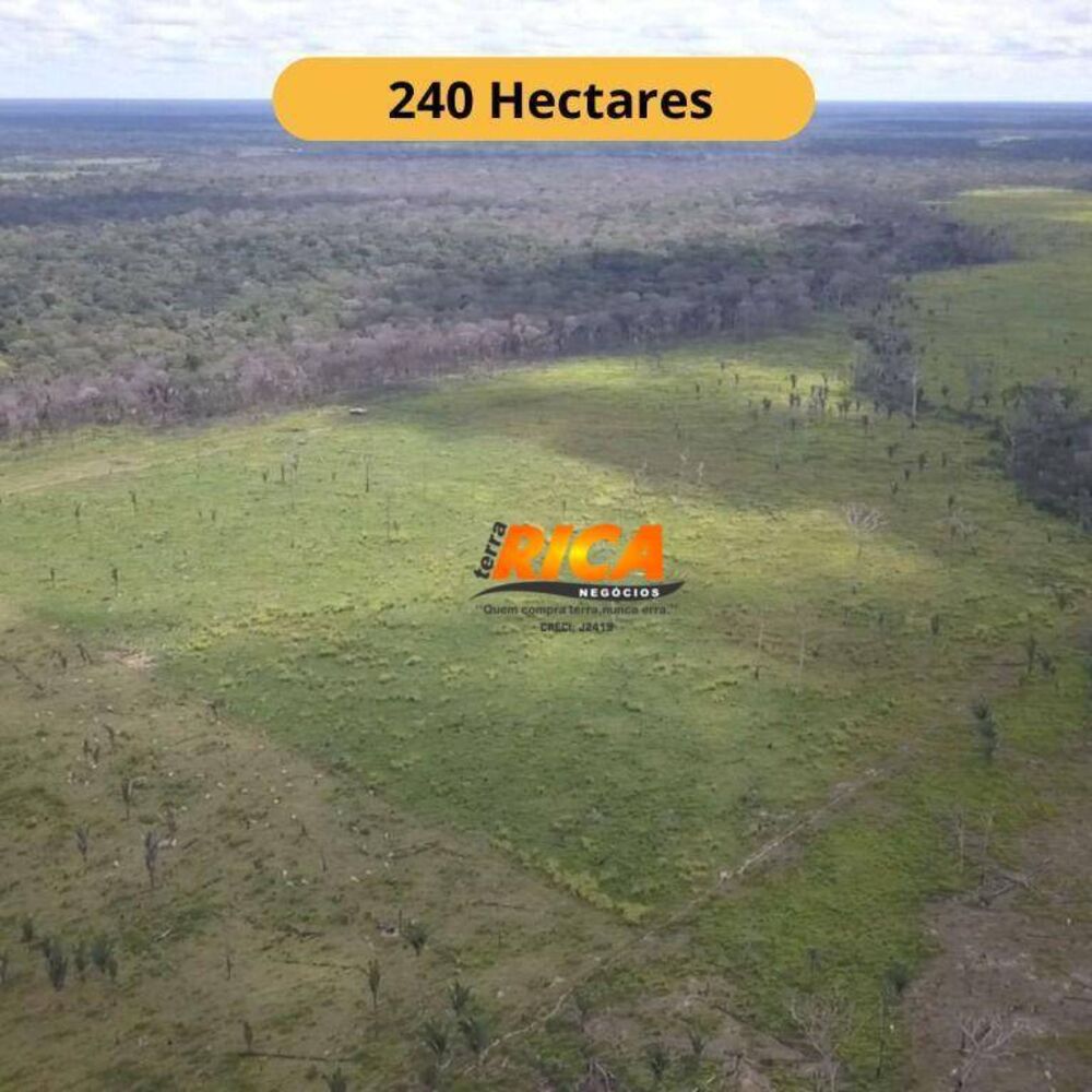 Fazenda, 240 hectares - Foto 1