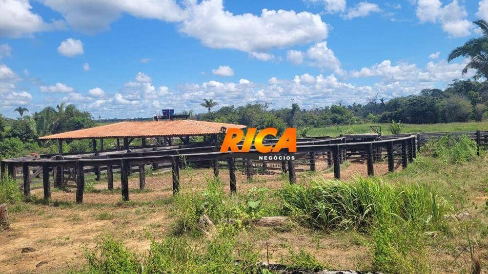 Fazenda, 240 hectares - Foto 14