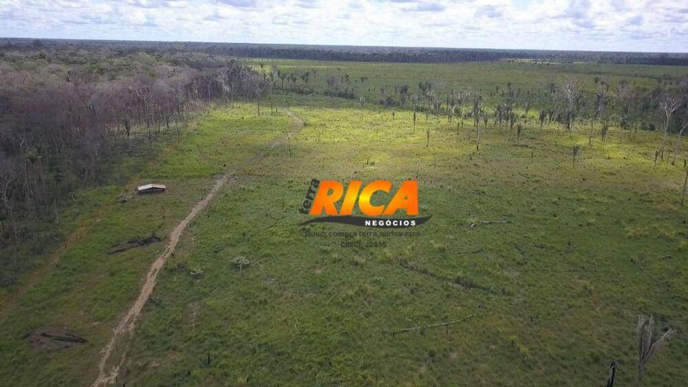 Fazenda, 240 hectares - Foto 6