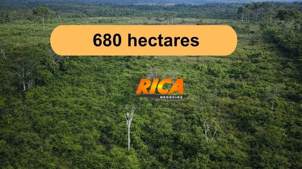 Fazenda, 332 hectares - Foto 2