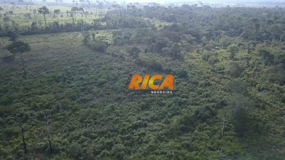 Fazenda, 332 hectares - Foto 7