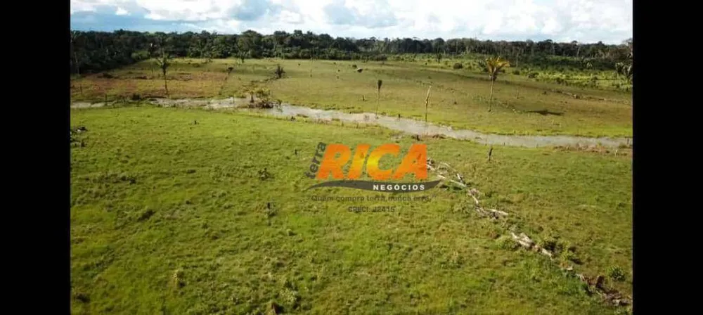 Sítio, 64 hectares - Foto 11