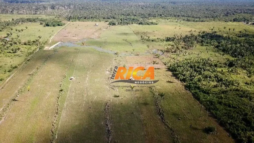 Sítio, 64 hectares - Foto 7