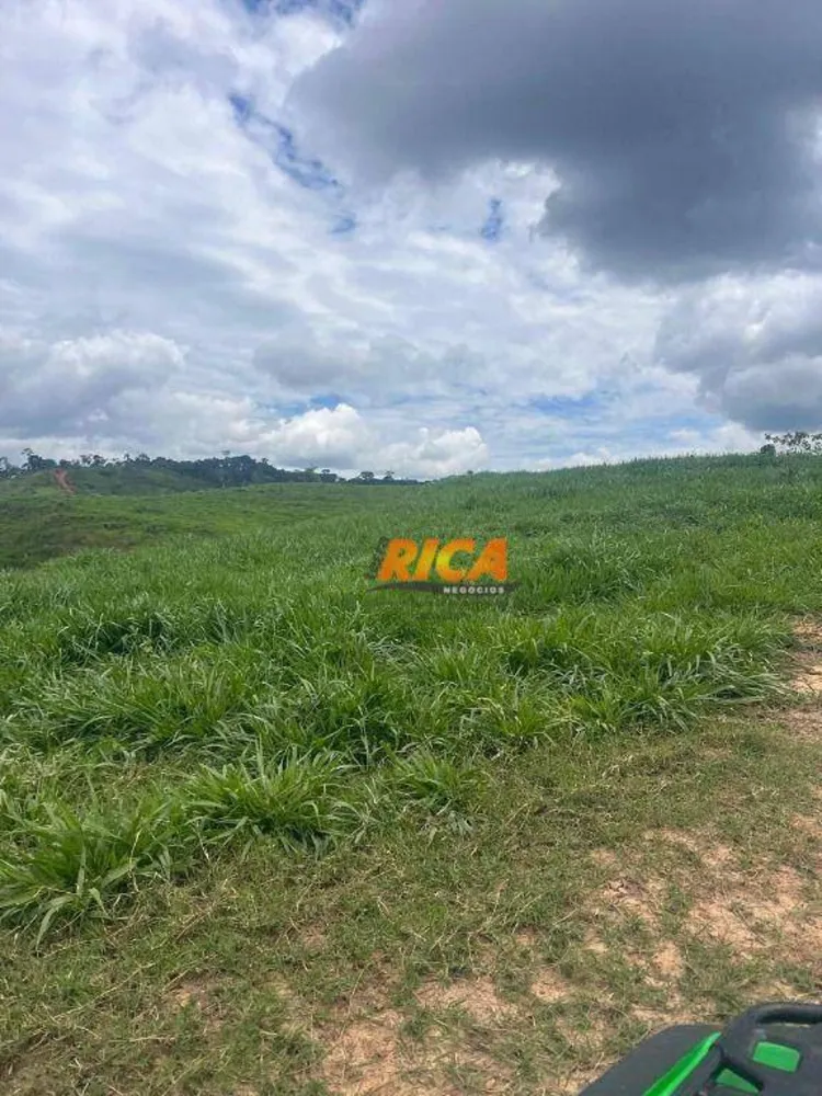 Fazenda, 3000 hectares - Foto 11
