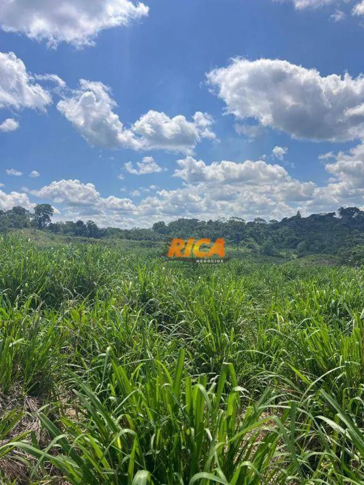 Fazenda, 3000 hectares - Foto 1