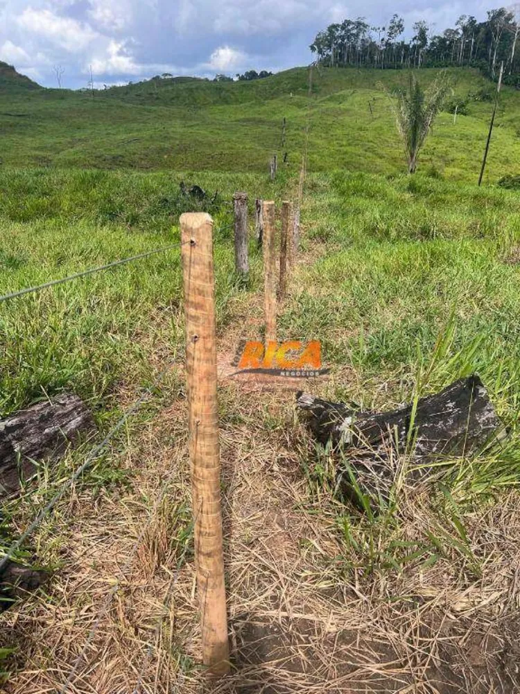 Fazenda, 3000 hectares - Foto 7