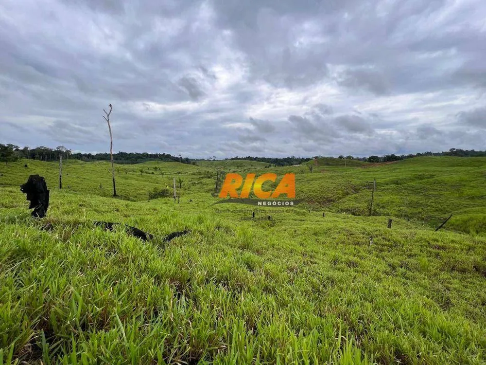 Fazenda, 3000 hectares - Foto 8