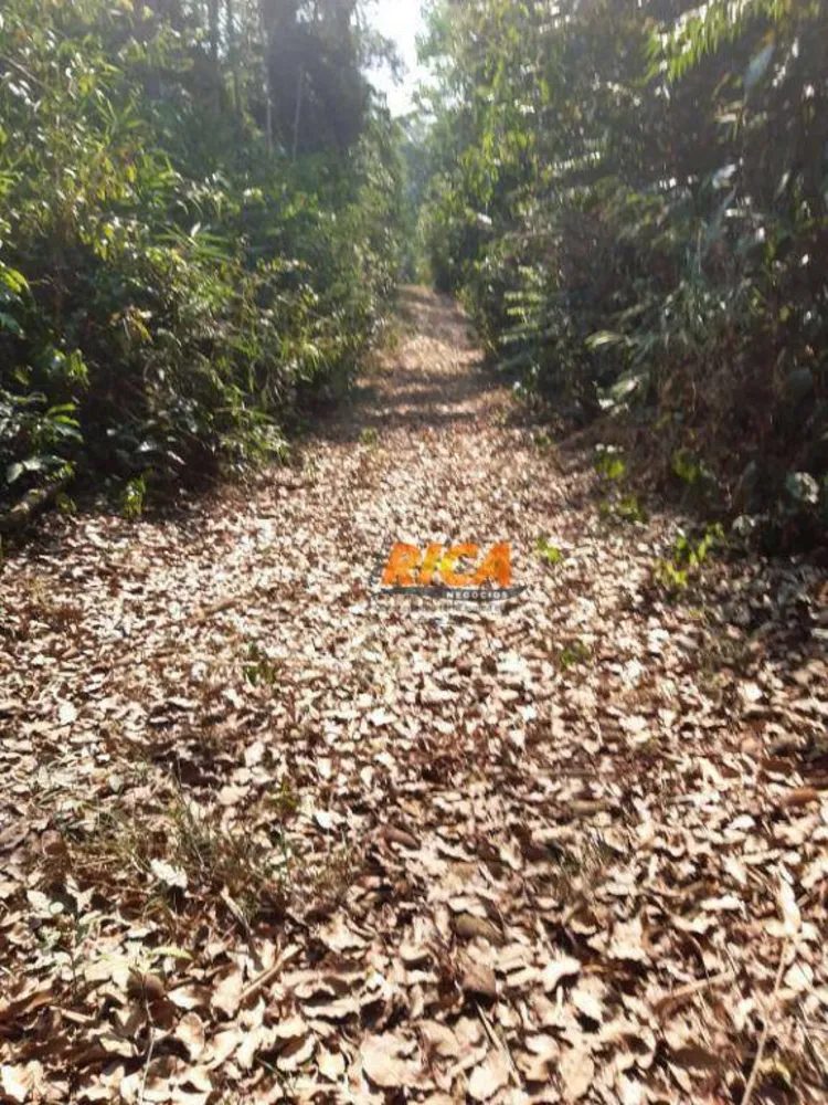 Chácara, 6 hectares - Foto 8
