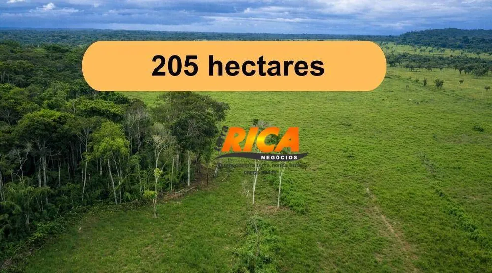 Fazenda, 205 hectares - Foto 2