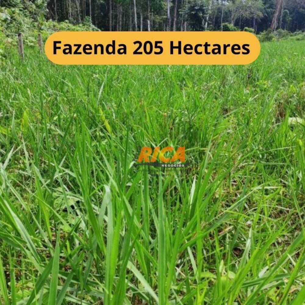 Fazenda à venda, 2050000M2 - Foto 1