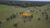 Fazenda-Sítio-Chácara, 205 hectares - Foto 8