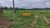 Fazenda-Sítio-Chácara, 205 hectares - Foto 10
